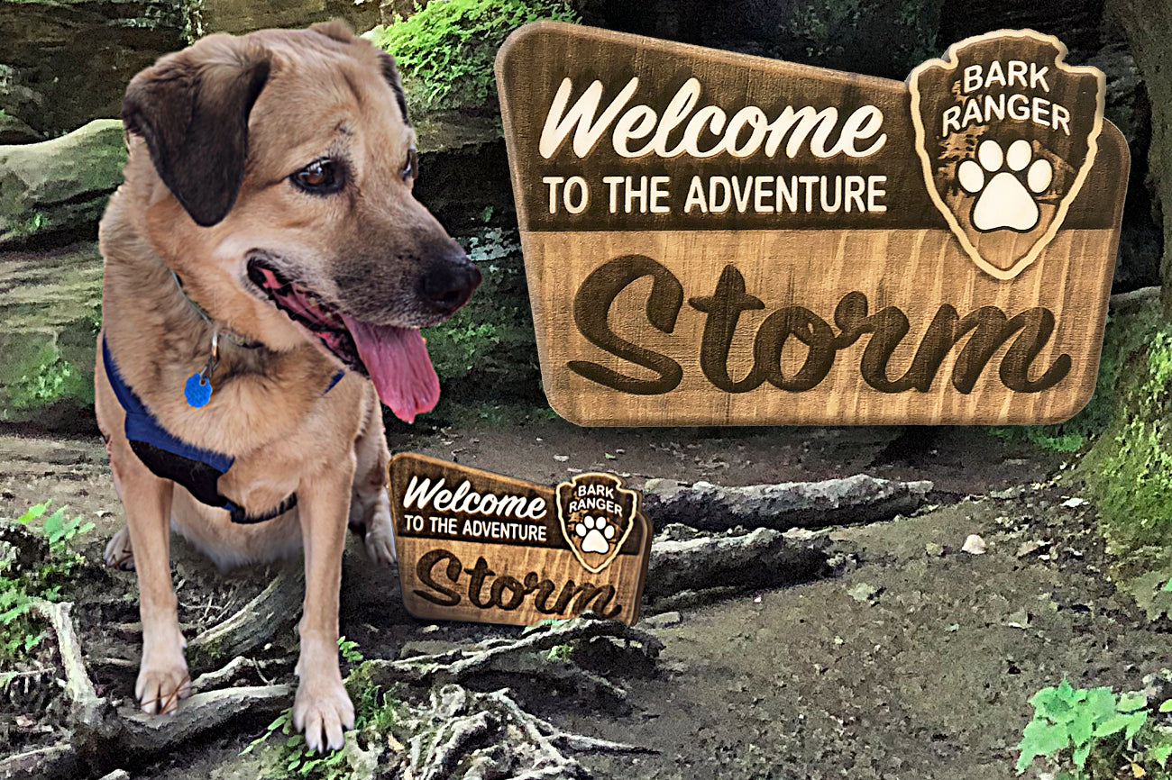 Bark Ranger Engraved Sign – First Mountain Design